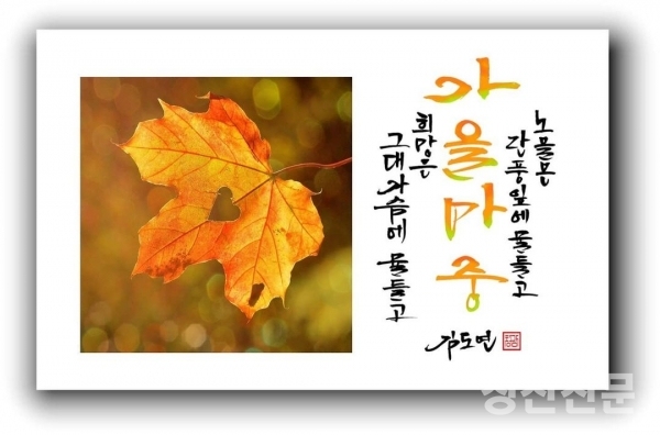 칭찬시인 김도연시인의 가을 마중을 19분의 유명캘리작가님께서 천연 가을 병풍처럼 멋진 작품을 가을을 느끼도록 했다.
