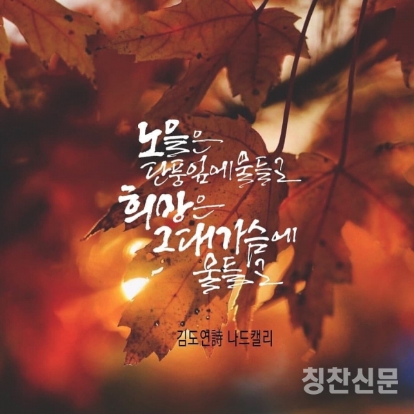 칭찬시인 김도연시인의 가을 마중을 19분의 유명캘리작가님께서 천연 가을 병풍처럼 멋진 작품을 가을을 느끼도록 했다.