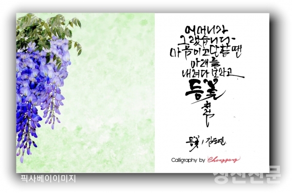 인스타그램의 스타 칭찬시인 김도연시인의 명시를 인스타그램의 유명작가인 청강 박옥래 캘리작가가  시를 위대한 예술작품으로 승화시켰다